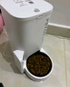 小佩宠物AI智能自动喂食器可视版 定时定量 猫狗宠物喂食 视频监控 实拍图