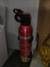 火焰战士 灭火器车载家车用干粉灭火器便携新能源消防器材1A21B增强型610G 实拍图