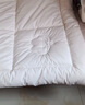 京东京造100%天然新疆棉花被 纯棉被芯双人被子 秋冬被6斤2x2.3m 实拍图