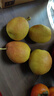 京鲜生 新疆库尔勒香梨 净重5斤 一级 单果100g-120g  生鲜水果 实拍图