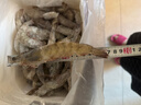 东上御品虾 青岛大虾基围虾鲜活青虾白虾海虾对虾冰虾冻虾生鲜 虾类 海鲜 3.3斤(净重)  盐冻大虾【单只冻】 17-21cm【特大虾皇】 实拍图