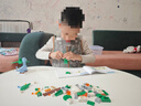 乐高（LEGO）积木拼装11041 创意恐龙男孩女孩儿童玩具生日礼物 实拍图