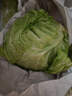 京鲜生山东新鲜绿甘蓝净重3斤单果200g+卷心菜甘蓝新鲜蔬菜 源头直发 实拍图