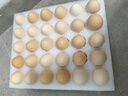 京鲜生 无抗保洁鲜鸡蛋30枚/盒 健康轻食 礼盒送礼 1.5kg/盒 源头直发 实拍图