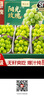 山姆大叔阳光玫瑰葡萄青提【顺丰-多地次日达】晴王提子年货礼盒水果礼盒 7A级【金奖升级】甄选果｜单果10-12g 5斤装【蕞划算-家庭自由畅吃】净4斤 实拍图