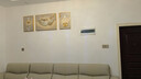 诗六艺家饰客厅装饰画北欧现代简约沙发背景墙挂画三联画大气轻奢壁画晶瓷画 羽鹿生辉（铝合金外框） 晶瓷画左右35*50+中间70*50亮面 实拍图