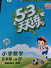 2025秋季53天天练小学数学五年级上册RJ人教版五三天天练5 3天天练5.3天天练5·3天天练学霸培优学霸提优 实拍图