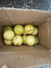 京典光年广西灵山钦蜜9号百香果 黄金百香果纯甜水果新鲜现摘整箱 精品大果净重2斤（单果70±5g） 实拍图