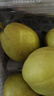 京鲜生 新疆库尔勒香梨 净重5斤 一级 单果100g-120g  生鲜水果 实拍图