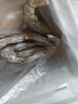 卖鱼郎先生青岛盐冻大虾净重3斤 15-20只/斤 白虾大虾基围虾生鲜 虾类 实拍图