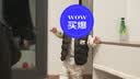 嘟嘟家儿童马甲秋冬夹棉男童坎肩加厚女童背心冬款童装 黑色 80 实拍图