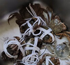 【活蟹】漁家师傅大闸蟹公3.5-3.8两母2.5-2.8两4对8只 去绳足重鲜活螃蟹生鲜水产礼盒 实拍图