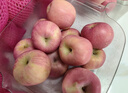 京鲜生 烟台红富士苹果 净重8斤  单果230g起 水果礼盒 实拍图