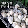 一虾一世界鲜活现剥去壳大号生蚝肉250g/盒 新鲜速冻牡蛎肉海蛎子火锅烧烤 2斤装 250g*4盒【固形物80%】 实拍图