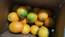 红都品冠25.3°赣南脐橙 6斤 铂金果 单果180-230g 生鲜水果礼盒 实拍图
