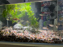 YEE超白鱼缸桌面客厅生态斗金鱼乌龟缸造景小型水草养鱼玻璃裸缸40cm 实拍图