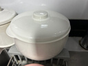九阳（Joyoung）电炖锅热水快炖多功能锅2.8L电炖盅炖汤盅燕窝锅养生锅宝宝辅食bb粥迷你煮粥煲汤锅白瓷GD329Z 实拍图