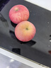 洛川苹果陕西延安特产红富士时令苹果水果礼盒送苹果生鲜新鲜脆甜整箱批发 净重8.5斤85-90mm铂金特大果脆甜 实拍图