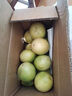 鲜青录广西黄金百香果钦蜜9号新鲜水果黄色白香果西番莲鸡蛋果 净重3斤（单果40-60g） 实拍图