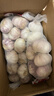 山东金乡蒜大蒜出口标准精选大蒜头蔬菜调料单果5cm 出口标准网兜装箱 2274g 5-5.5cm特大 实拍图