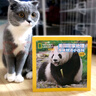 美国国家地理趣味小百科 中英文双语读物（套装共6册）   图书开学季 图书开工开学季 送礼好物 小学生推荐书单 一升二衔接 小升初衔接 实拍图