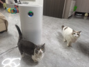 美的【母婴认证医护级】空气净化器 分解除甲醛除烟味除猫毛宠物99.99%除菌除病毒除霾花粉空气消毒机 【旗舰全效净化】KJ600G-RX600 实拍图