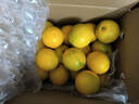 京鲜生 云南哀牢山冰糖橙/橙子 净重5斤 单果130g-170g 生鲜水果礼盒 实拍图