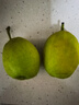 京鲜生 新疆库尔勒香梨 净重10斤 特级 单果120g以上 生鲜水果 实拍图
