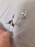 海盗船（pirateship）耳钉 女鱼尾银耳钉个性时尚S925银耳坠气质简约耳环情人节礼物 实拍图