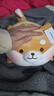 MINISO名创优品柴犬小猪弹力超柔娃娃可爱毛绒玩偶抱枕生日礼物公仔圣诞 趣味阿柴（36*21cm） 见详情图 实拍图