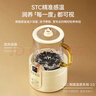 World Kitchen美国康宁养生壶多功能家用小型办公室全自动全玻璃恒温壶0.5L迷你养生杯煮茶器煮茶壶（标准款） 实拍图