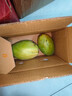 【双十一热卖】玉芒水果芒果新鲜上市 带箱1斤【单果200-300g】 实拍图