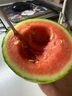 全美2K小糖丸西瓜 2K小糖丸西瓜1.5斤-2斤 实拍图