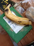 高山香蕉广西产地直发薄皮青果软糯香甜自然熟当季新鲜采摘纯天然 高山香蕉250克（2-3根） 实拍图