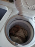小鸭牌洗衣机半自动双桶双缸家用大容量小型租房宿舍波轮脱水甩干两用双杠省电老式强动力易操作以旧换新 15.5公斤【洗10+脱5.5｜强劲电机终身联保】 实拍图