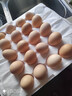 京喜加 鲜鸡蛋 土鸡蛋  五谷喂养 山林自养鸡蛋早餐 生鲜超市买菜40g 20枚 800g 实拍图