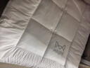 猫人五星级酒店床垫遮盖物软垫子床褥子单人宿舍榻榻米垫被1.2x2米 实拍图