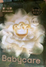 babycare金山茶花婴儿纸尿裤mini装S30片(4-8kg)新生儿尿不湿【新老混发】 实拍图