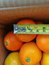 京喜加伦晚夏橙脐橙手剥橙 带箱4斤中果60 实拍图