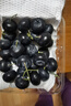 京鲜生 当季云南蓝莓 6盒中果14mm+ 125g/盒 生鲜水果 源头直发 包邮 实拍图
