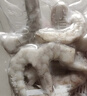 东方甄选冷冻青虾仁去虾线南美白虾生鲜海鲜水产独立包装速冻冰冻虾仁送礼 【51-60】中号 1kg(净重)  （100g*10小包） 实拍图
