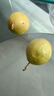 鲜青录广西黄金百香果钦蜜9号新鲜水果黄色白香果西番莲鸡蛋果 净重1斤（单果60-70g） 实拍图