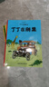 丁丁历险记【新版小开本经典收藏版】（全22册套装）（走进丁丁的历险世界，体验可贵的友情，感受温暖） 课外阅读 暑期阅读 课外书 实拍图