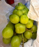 京鲜生国产阳光玫瑰净重4.5斤单果10-12g葡萄/提子 源头直发包邮 实拍图
