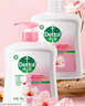 滴露（Dettol）洗手液消毒抑菌滋润500g+500g补充装儿童家庭护手替换 实拍图