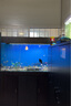 森森（SUNSUN）鱼缸灯变色LED灯潜水照明水族箱造景灯龙鱼防水灯管 （三色可变）98cm双排灯珠20W（带开关） 实拍图