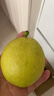 京鲜生 新疆特级库尔勒香梨 净重5斤单果120g以上 生鲜水果 实拍图