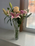 吕姆克花瓶插花瓶玻璃花瓶客厅茶几玄关摆件鲜花干花假花仿真花容器5639 实拍图
