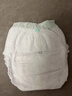 babycare金山茶花拉拉裤XL34片(12-17kg)婴儿尿不湿超薄透气新生柔花苞裤 实拍图