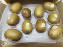 佳沛（zespri）新西兰  阳光金奇异果10粒礼盒巨大果单果约144-175g 水果 猕猴桃 实拍图